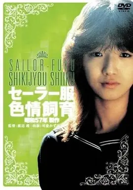 青春电影第七个夏天在线观看